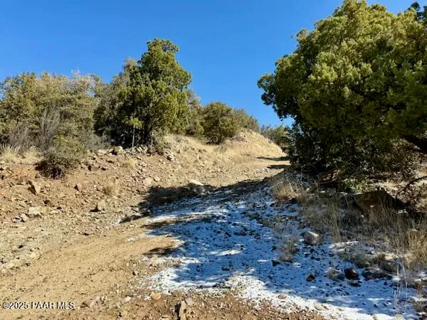 a view of a beach with a mountain in the background