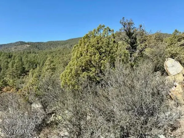 a view of a field