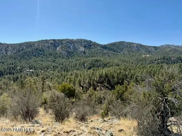 a view of a dry yard