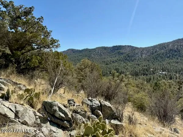 a view of a forest with mountain and a forest