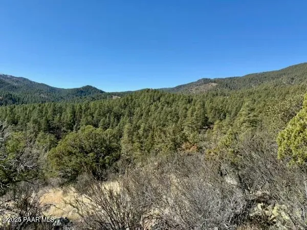 a view of a mountain range with lush green forest