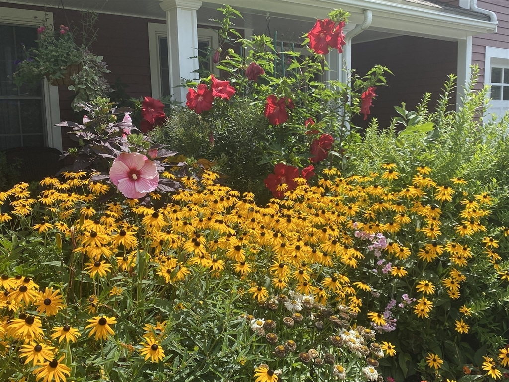 175 Carter Field Road North Andover, MA 01845 - Photo 33 of 36 Gallery Image 33