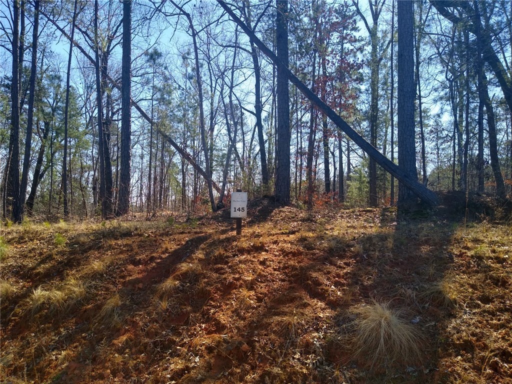 Lot 145 Harbor Ridge Road Seneca, SC 29672 - Photo 1 of 5 Lot 145 from the street