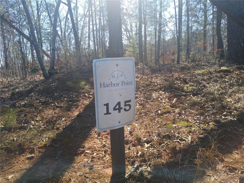 Lot 145 Harbor Ridge Road Seneca, SC 29672 - Photo 2 of 5 Gallery Image 2