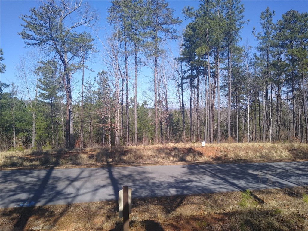 Lot 145 Harbor Ridge Road Seneca, SC 29672 - Photo 4 of 5 Looking across the street