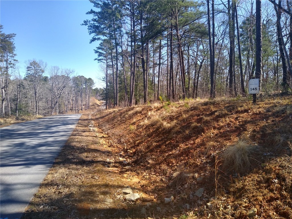 Lot 145 Harbor Ridge Road Seneca, SC 29672 - Photo 5 of 5 View looking down Harbor Ridge