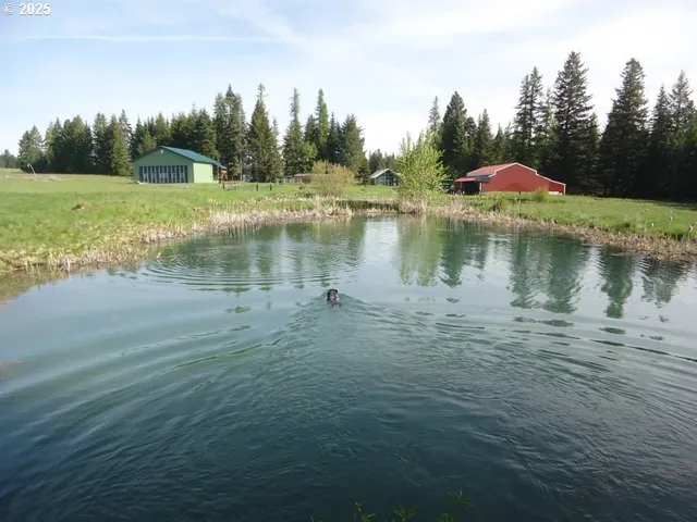 a view of a lake in between two chairs