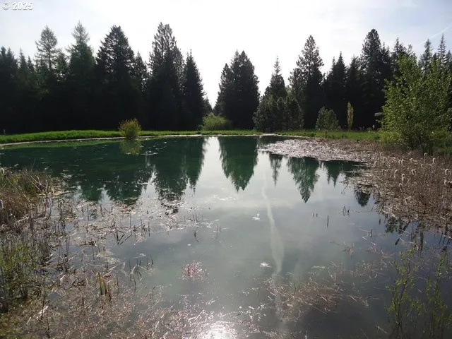 a view of lake with green space