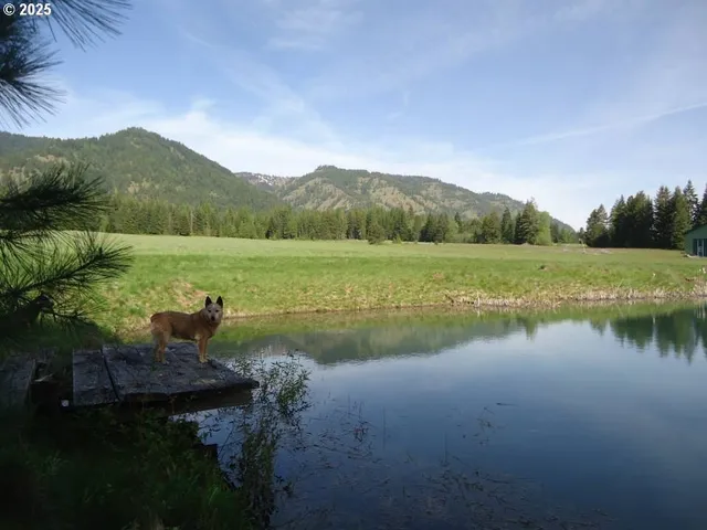 a view of a lake with a mountain in the background