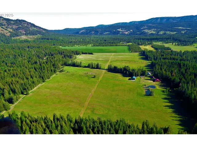 a view of an outdoor space and a yard