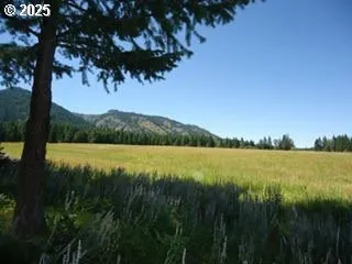 a view of a lake from a yard