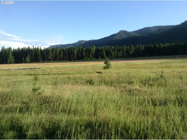 a view of an outdoor space and a yard