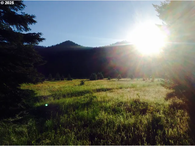 a view of an outdoor space and a yard