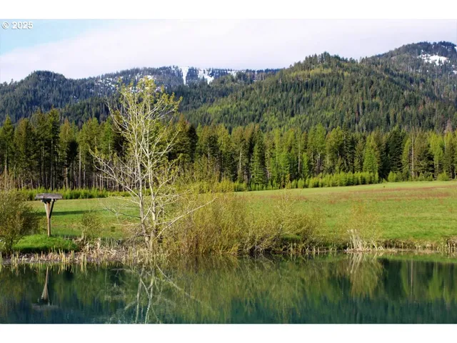 a view of a grassy area with an trees