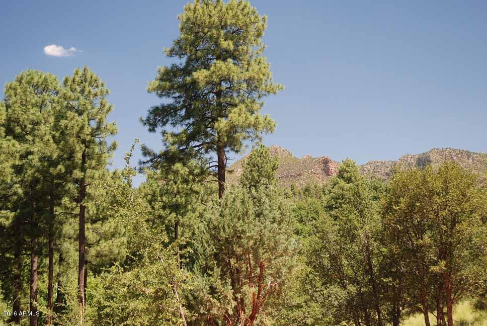 506 Myrtle Point Trail Payson, AZ 85541 - Photo 29 of 35 63DeckView