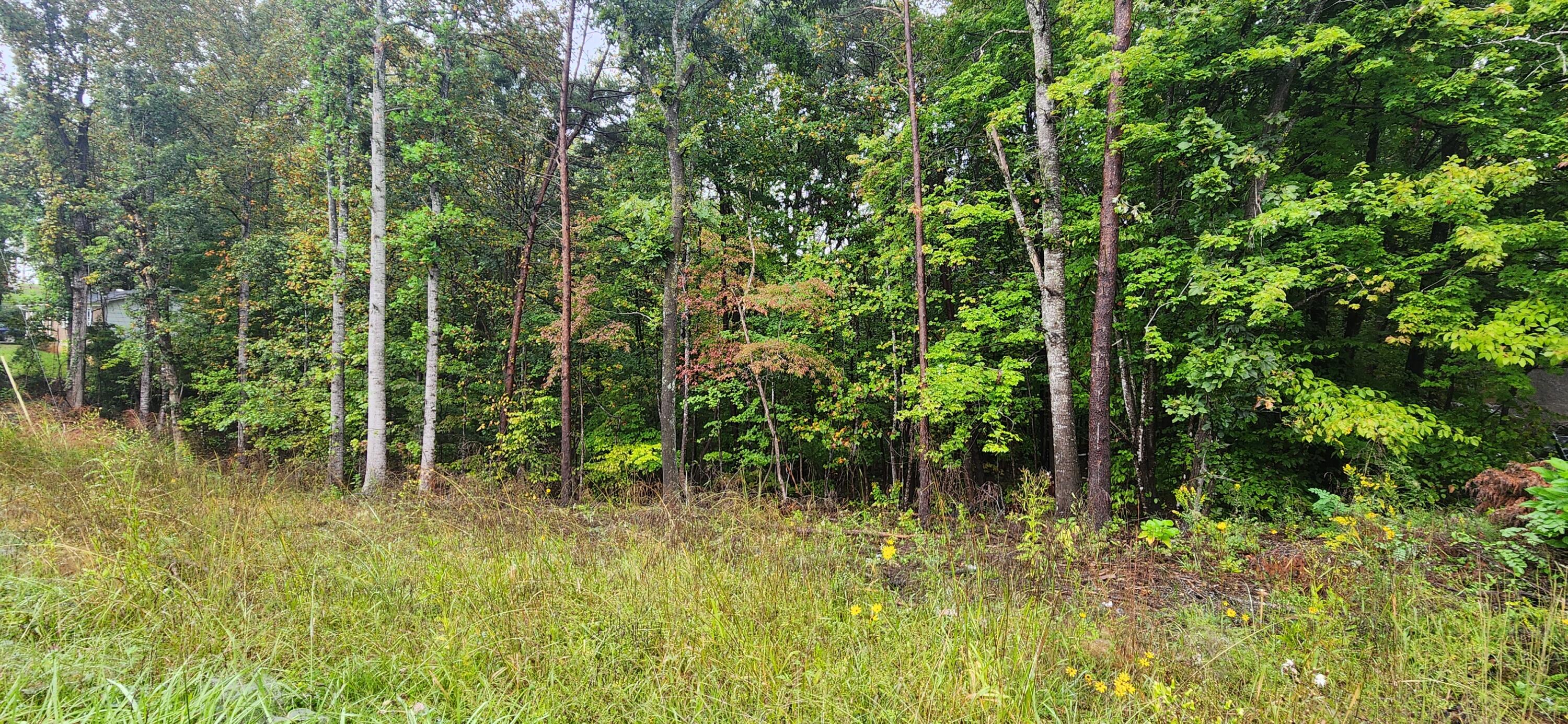 Lot 35-36 Circle View Street Rocky Mount, VA 24151 - Photo 3 of 3 a view of outdoor space and green space