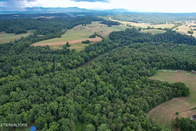 $64,900 | Lot 1-2 Pates Hill Road, Mosheim, TN 37818