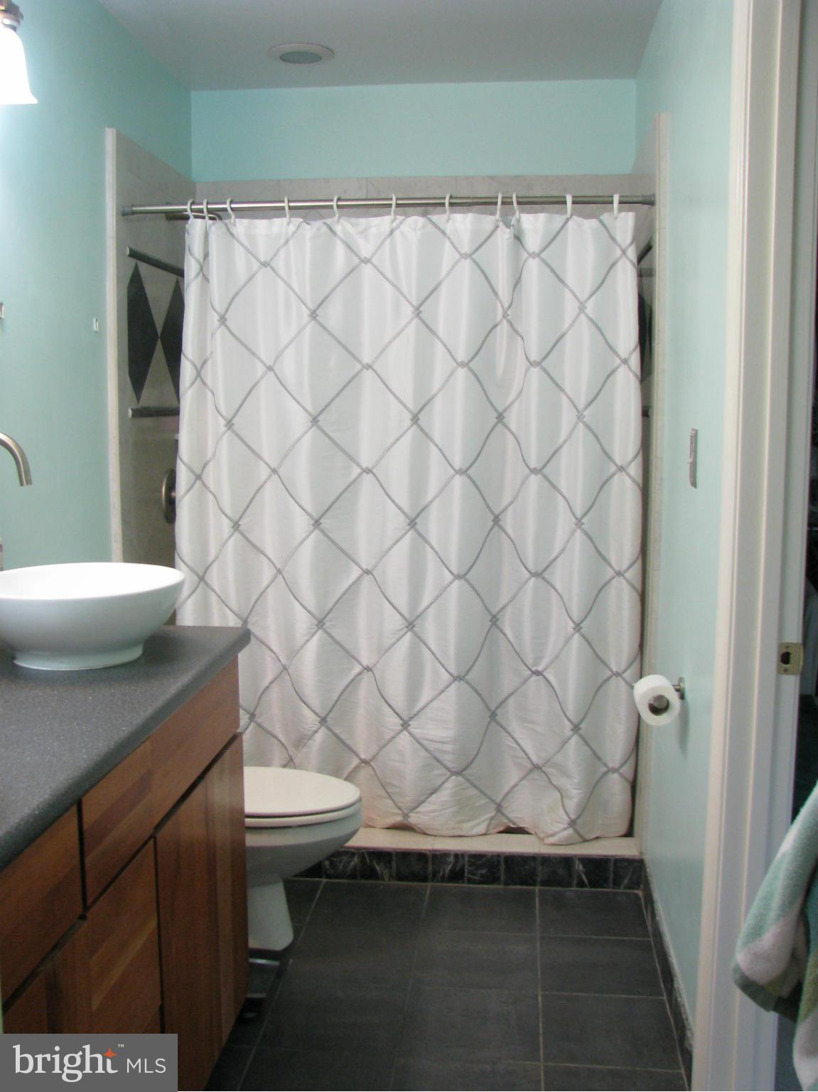 4207 Jackson Mill Road Haymarket, VA 20169 - Photo 11 of 30 a bathroom with a sink and a toilet