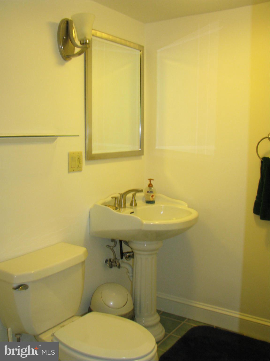 4207 Jackson Mill Road Haymarket, VA 20169 - Photo 23 of 30 a bathroom with a sink and a toilet
