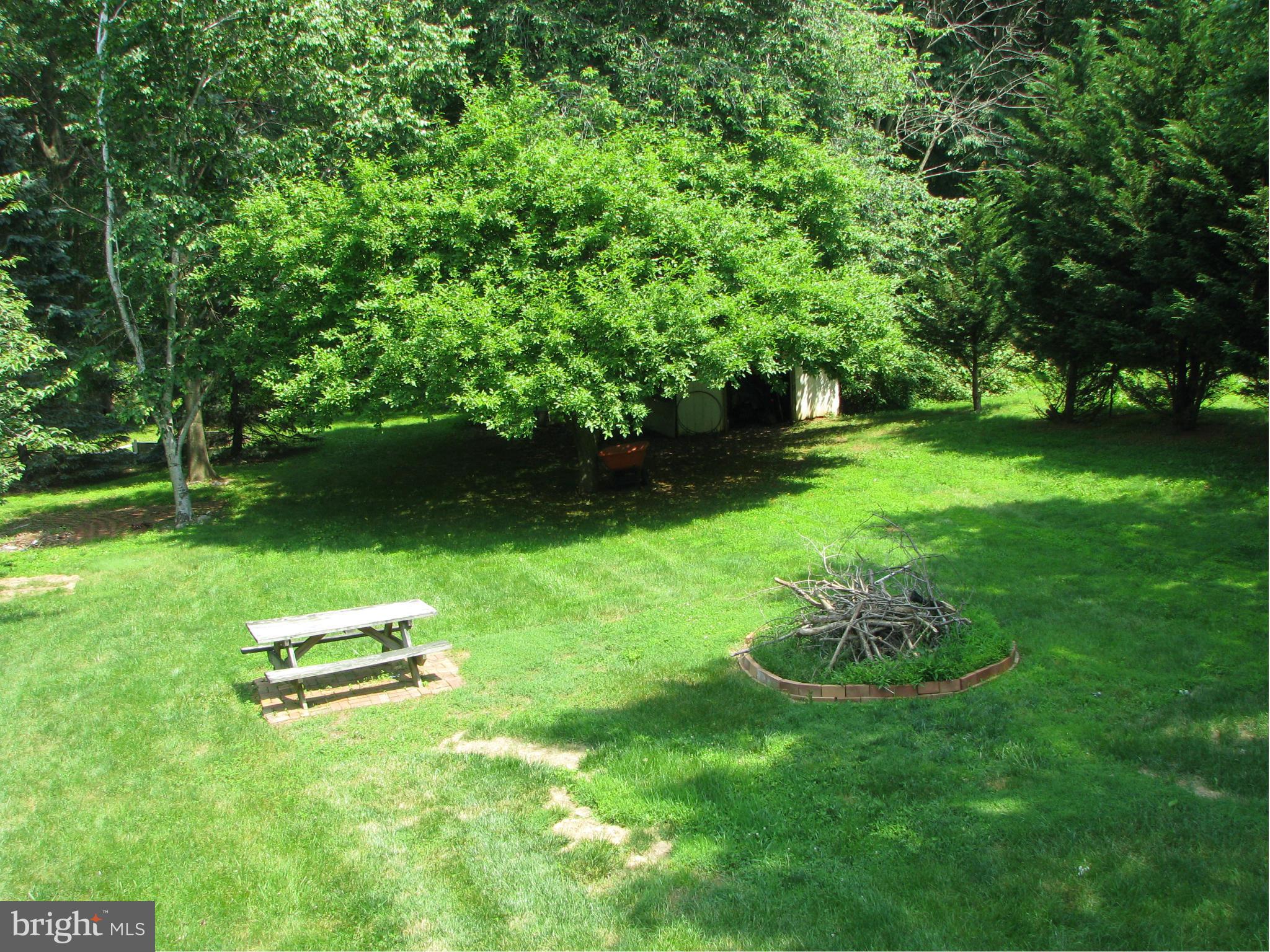 4207 Jackson Mill Road Haymarket, VA 20169 - Photo 25 of 30 a park with a bench and trees