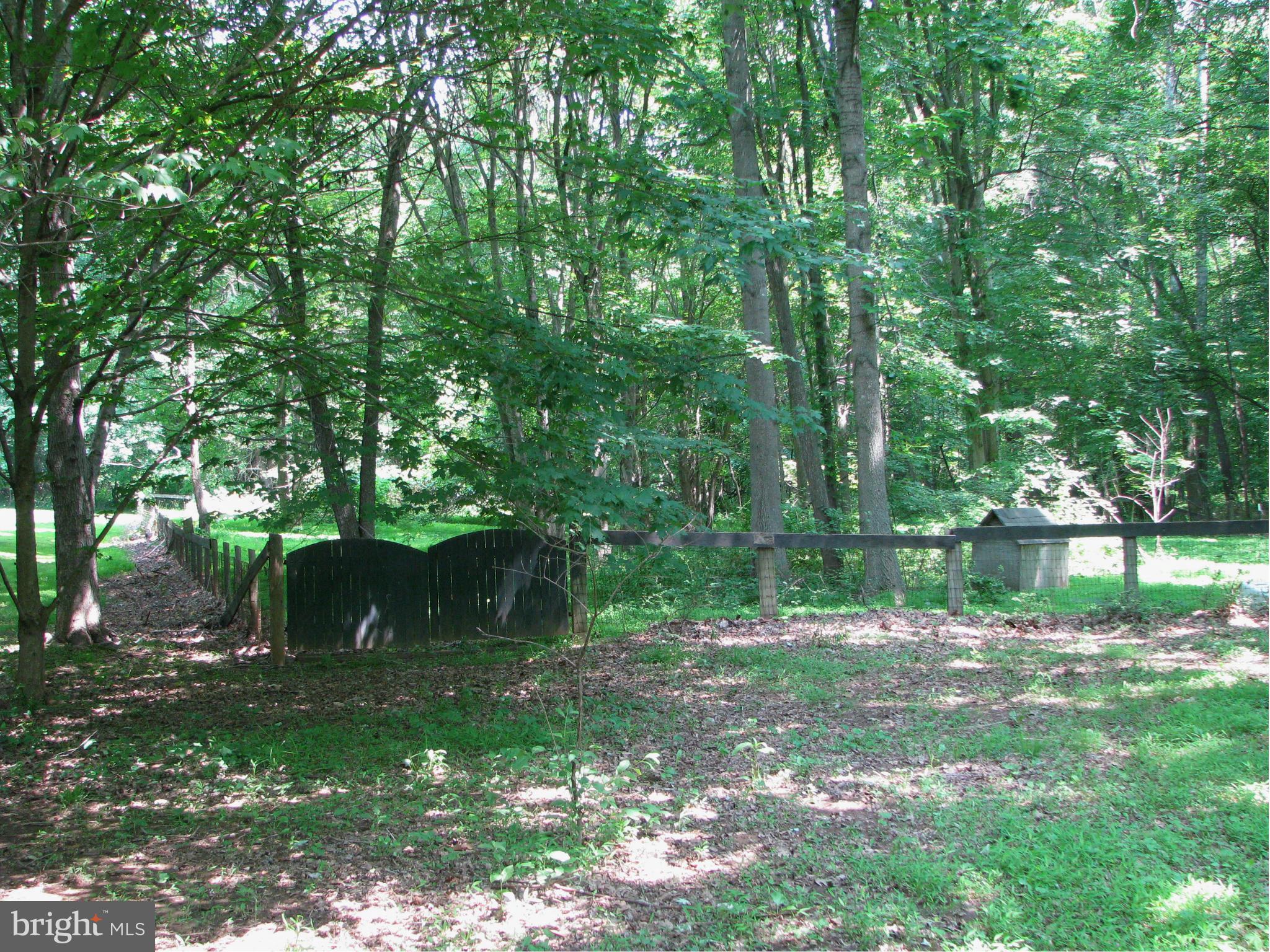 4207 Jackson Mill Road Haymarket, VA 20169 - Photo 28 of 30 a backyard of a house with lots of green space