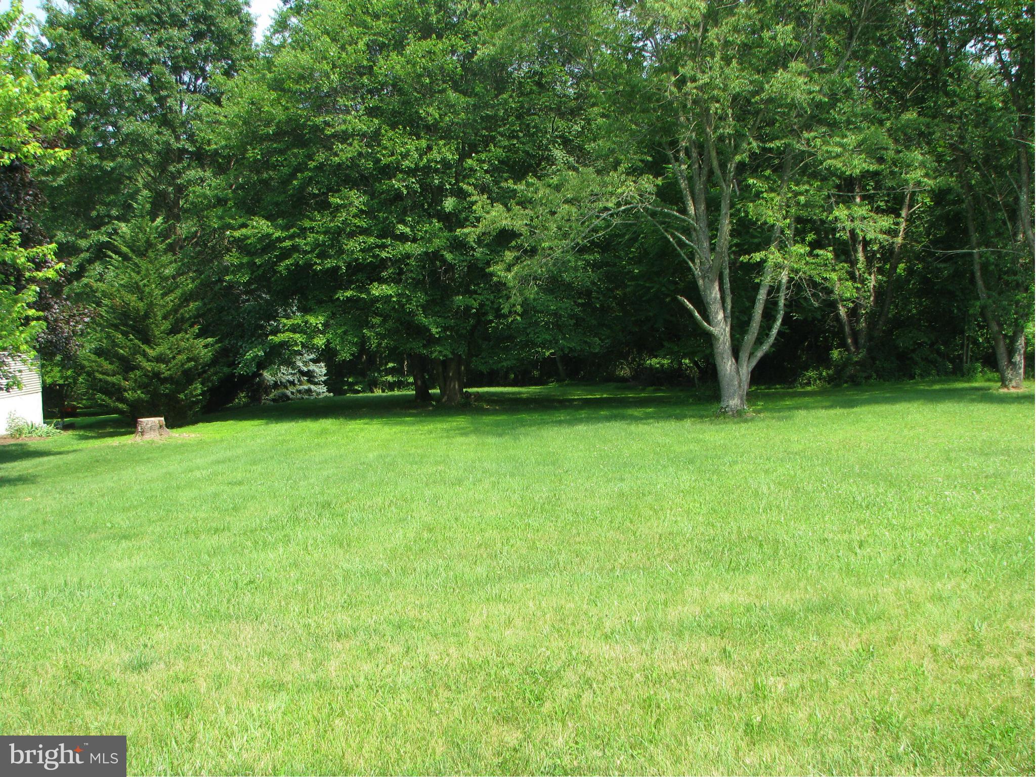 4207 Jackson Mill Road Haymarket, VA 20169 - Photo 29 of 30 a view of a green yard