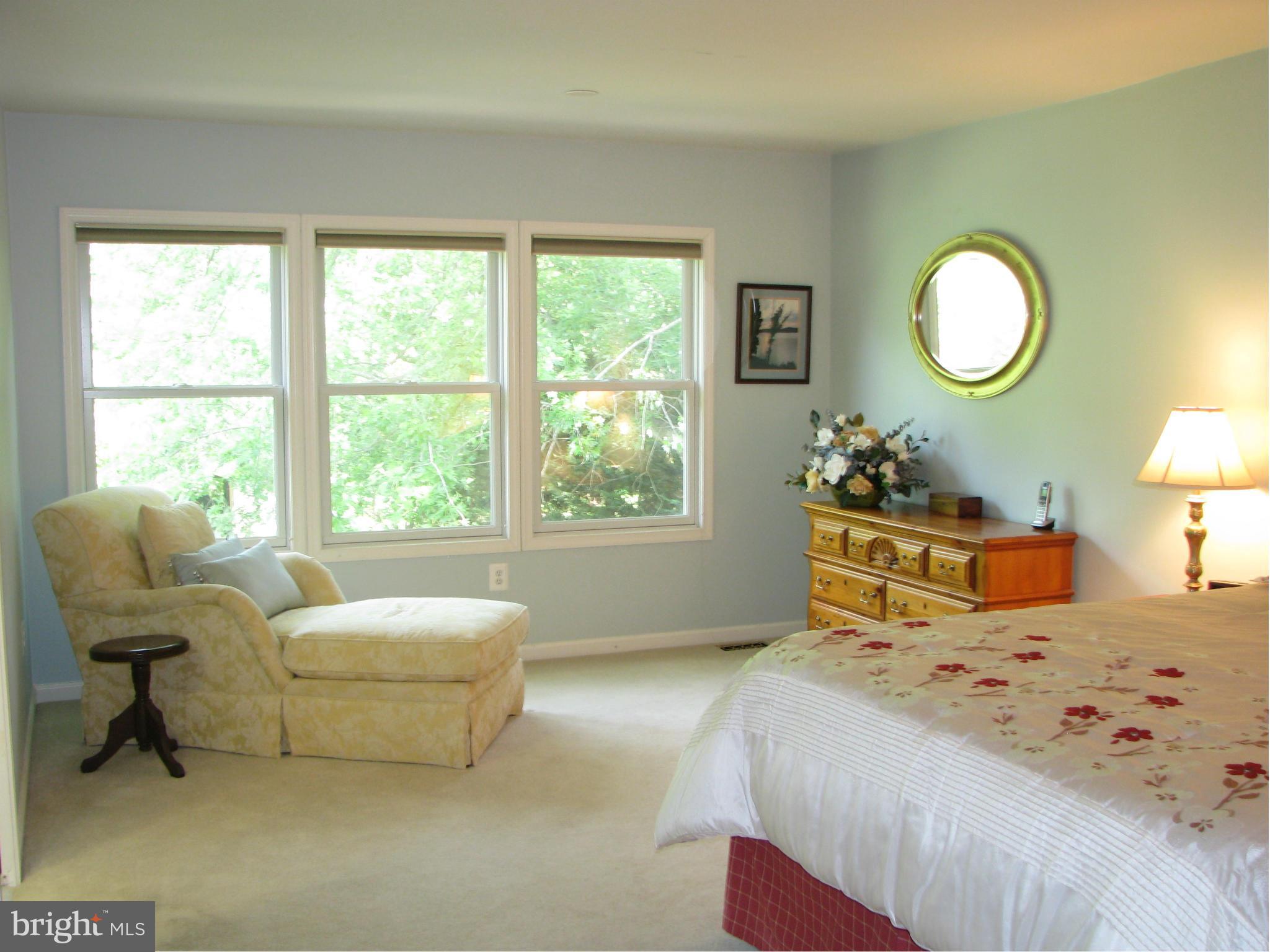 4207 Jackson Mill Road Haymarket, VA 20169 - Photo 8 of 30 a bedroom with a bed and a large window