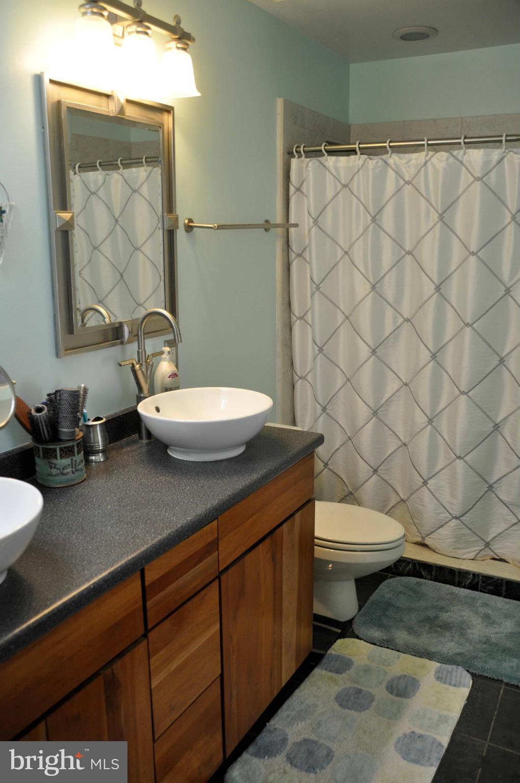 4207 Jackson Mill Road Haymarket, VA 20169 - Photo 10 of 30 a bathroom with a granite countertop toilet and a sink