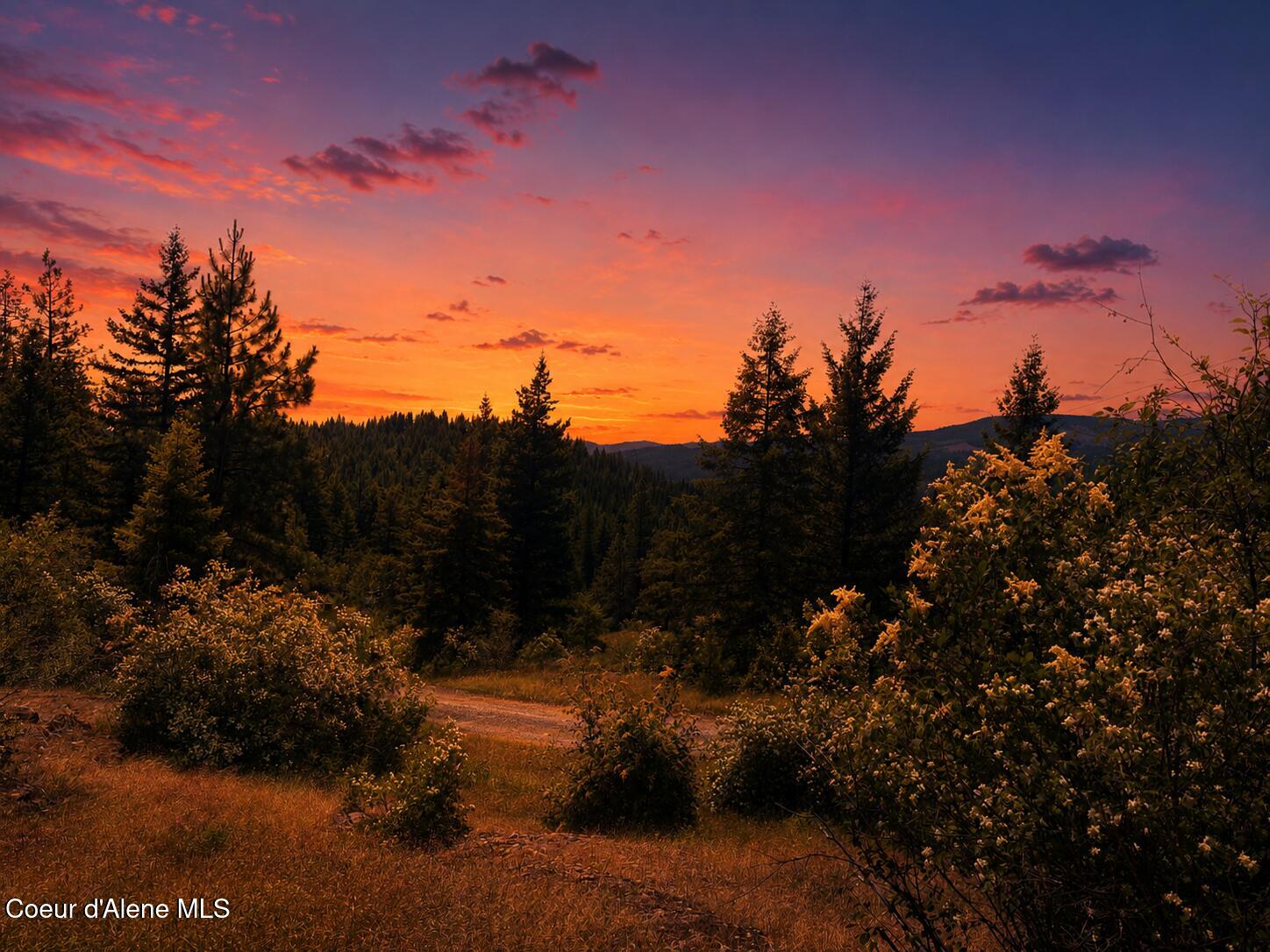 Nna Dunromin Road Priest River, ID 83856 - Photo 1 of 23 Twilight