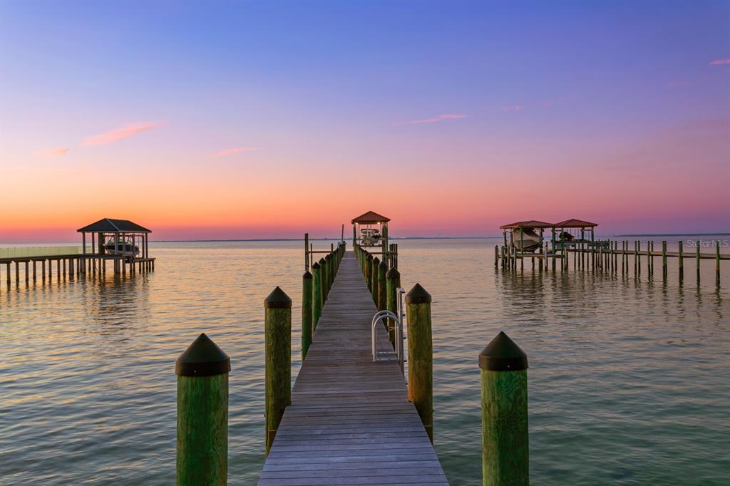 6528 Surfside Boulevard Apollo Beach, FL 33572 - Photo 38 of 50