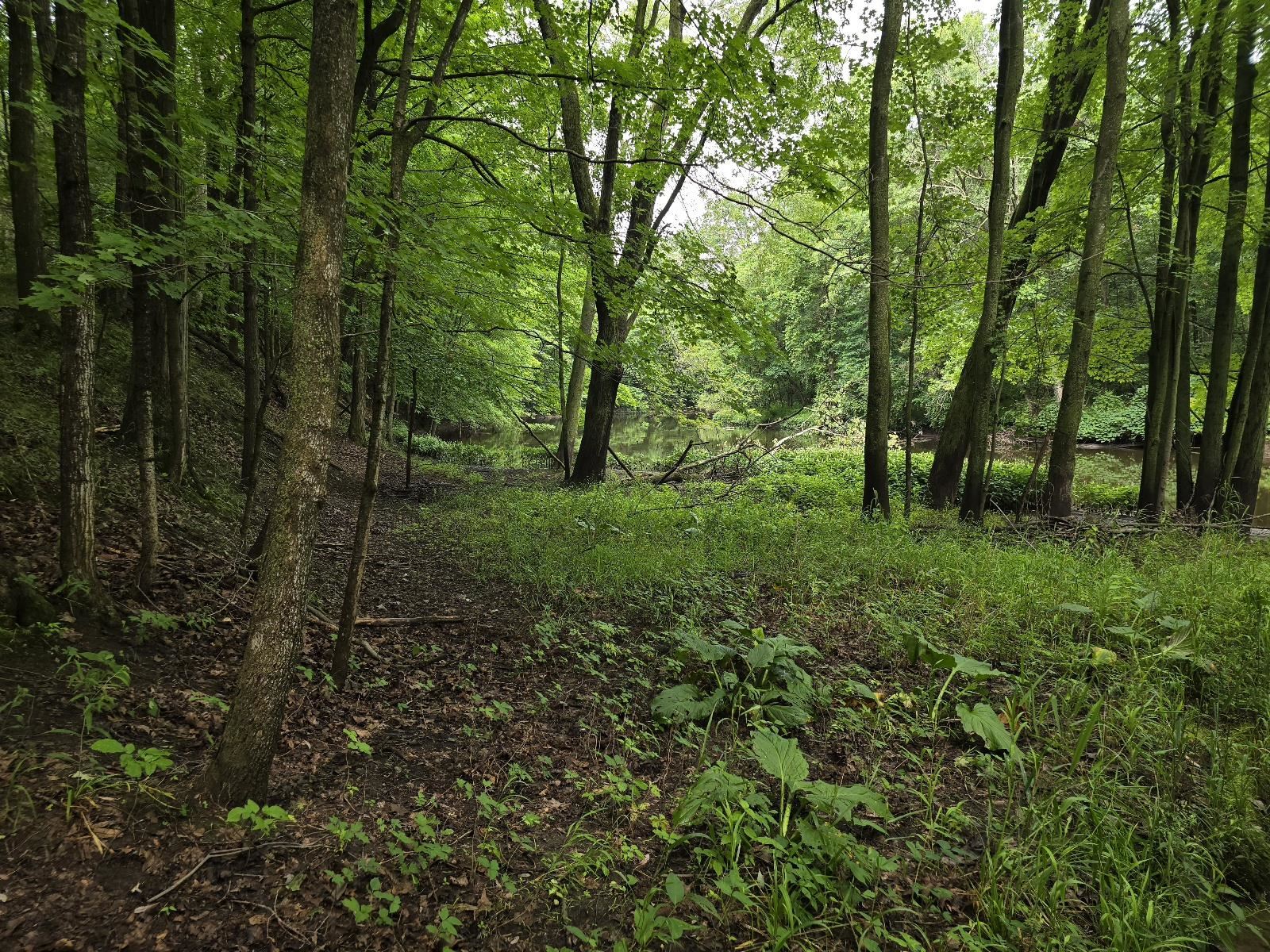 Vl Lehring Road Bancroft, MI 48414 - Photo 15 of 27