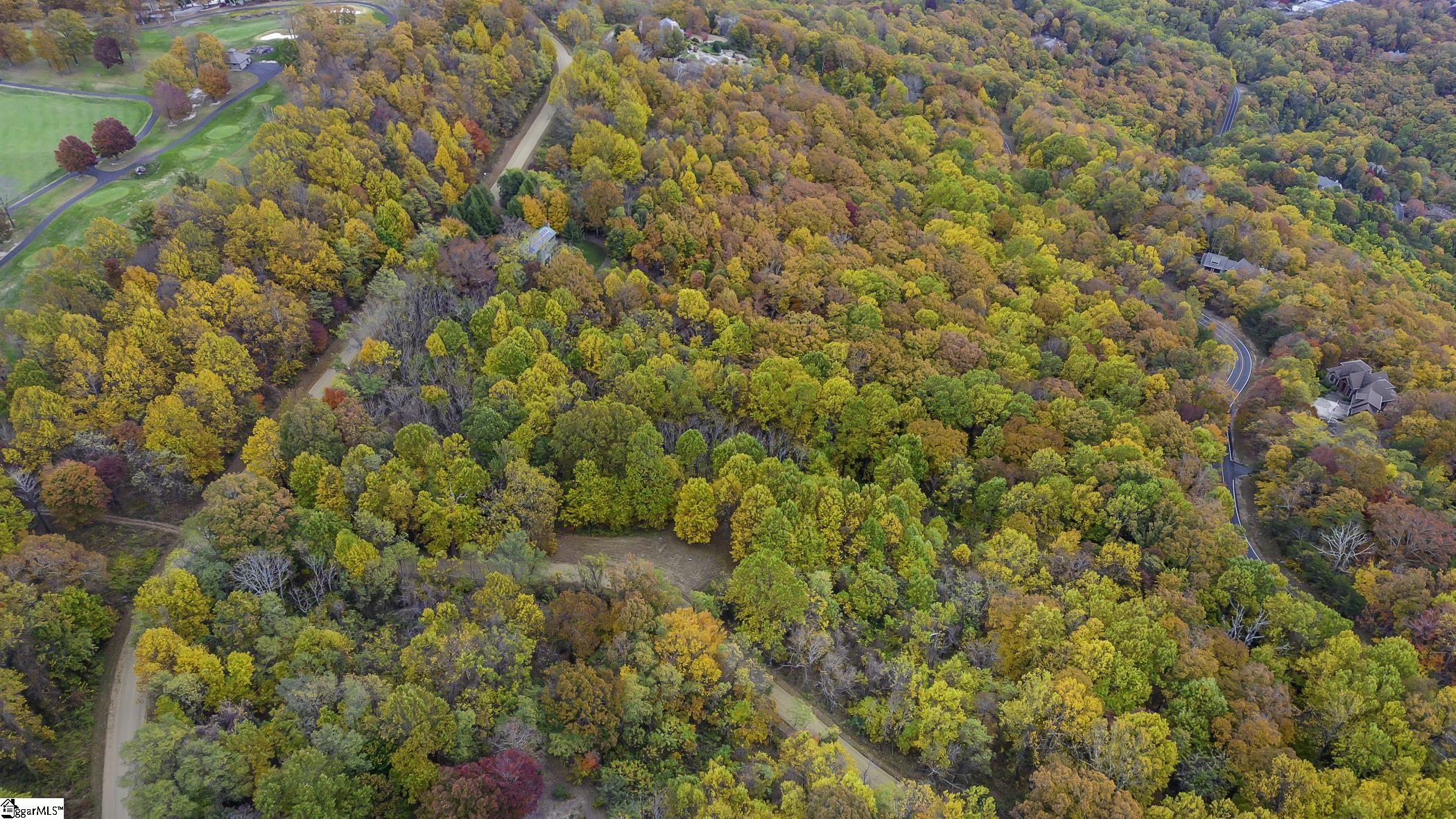0 May Apple Way Landrum, SC 29356 - Photo 11 of 13