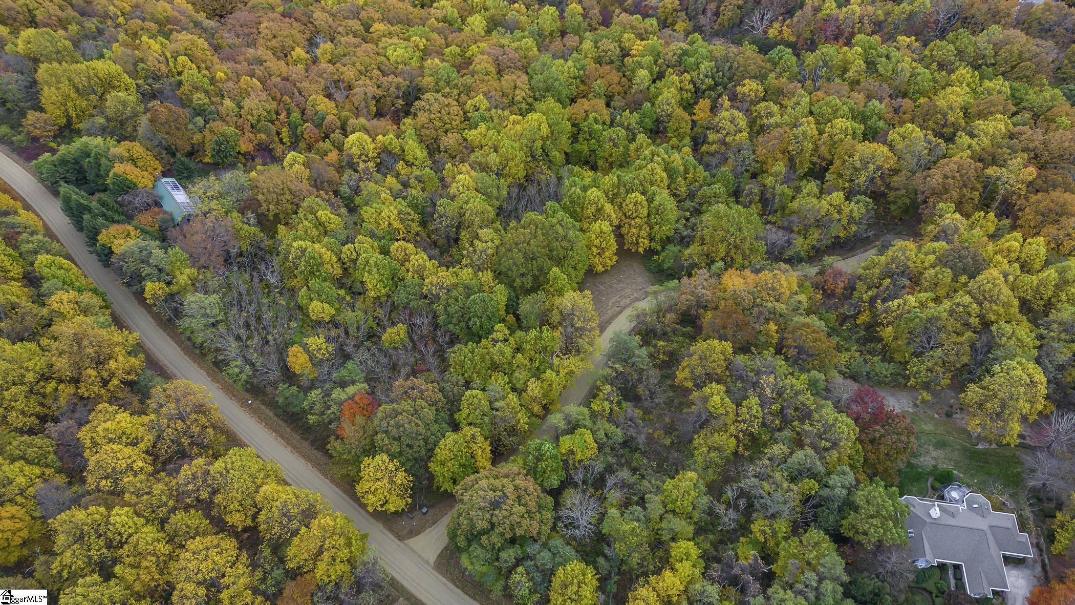 0 May Apple Way Landrum, SC 29356 - Photo 13 of 13