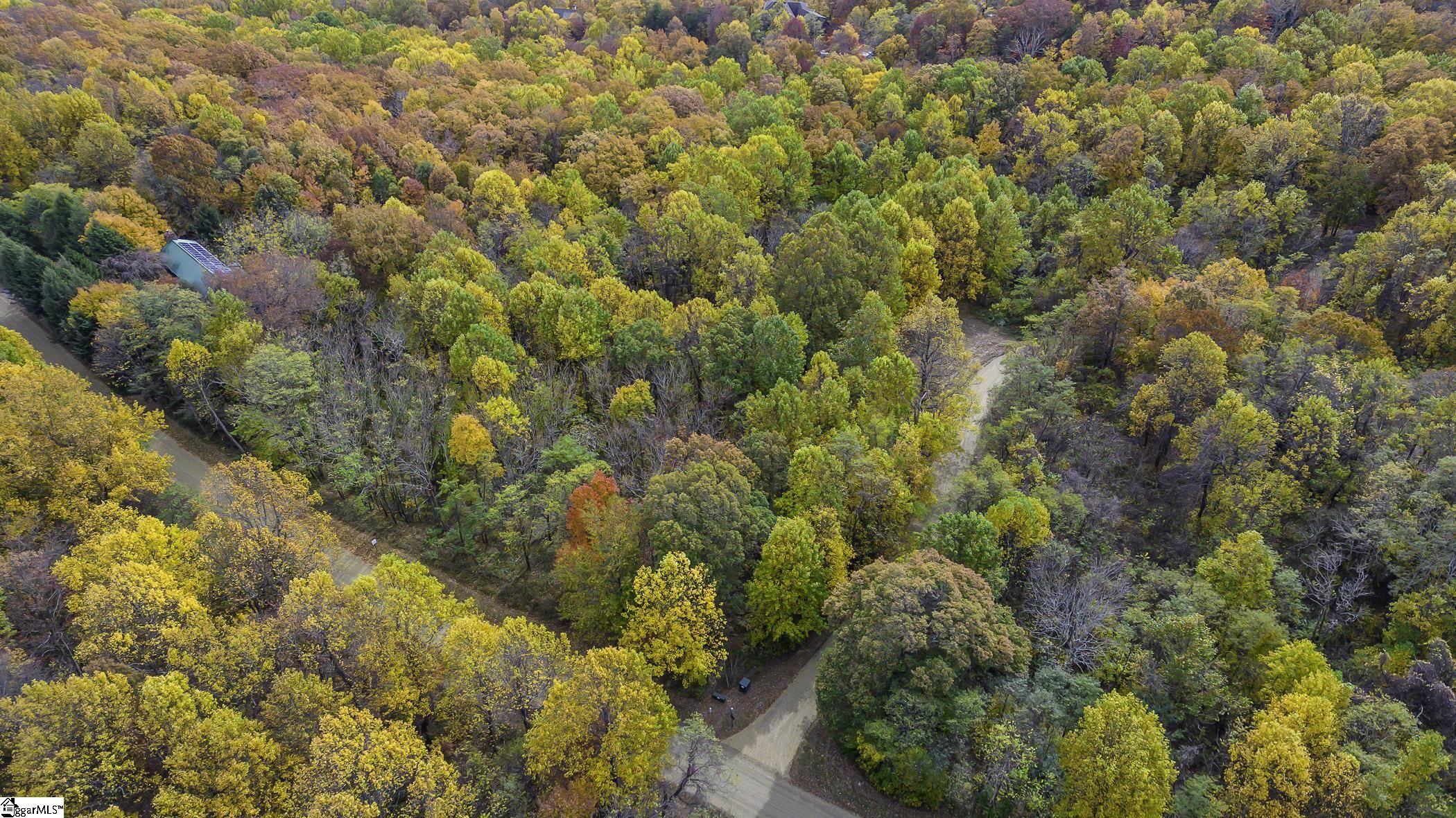 0 May Apple Way Landrum, SC 29356 - Photo 3 of 13