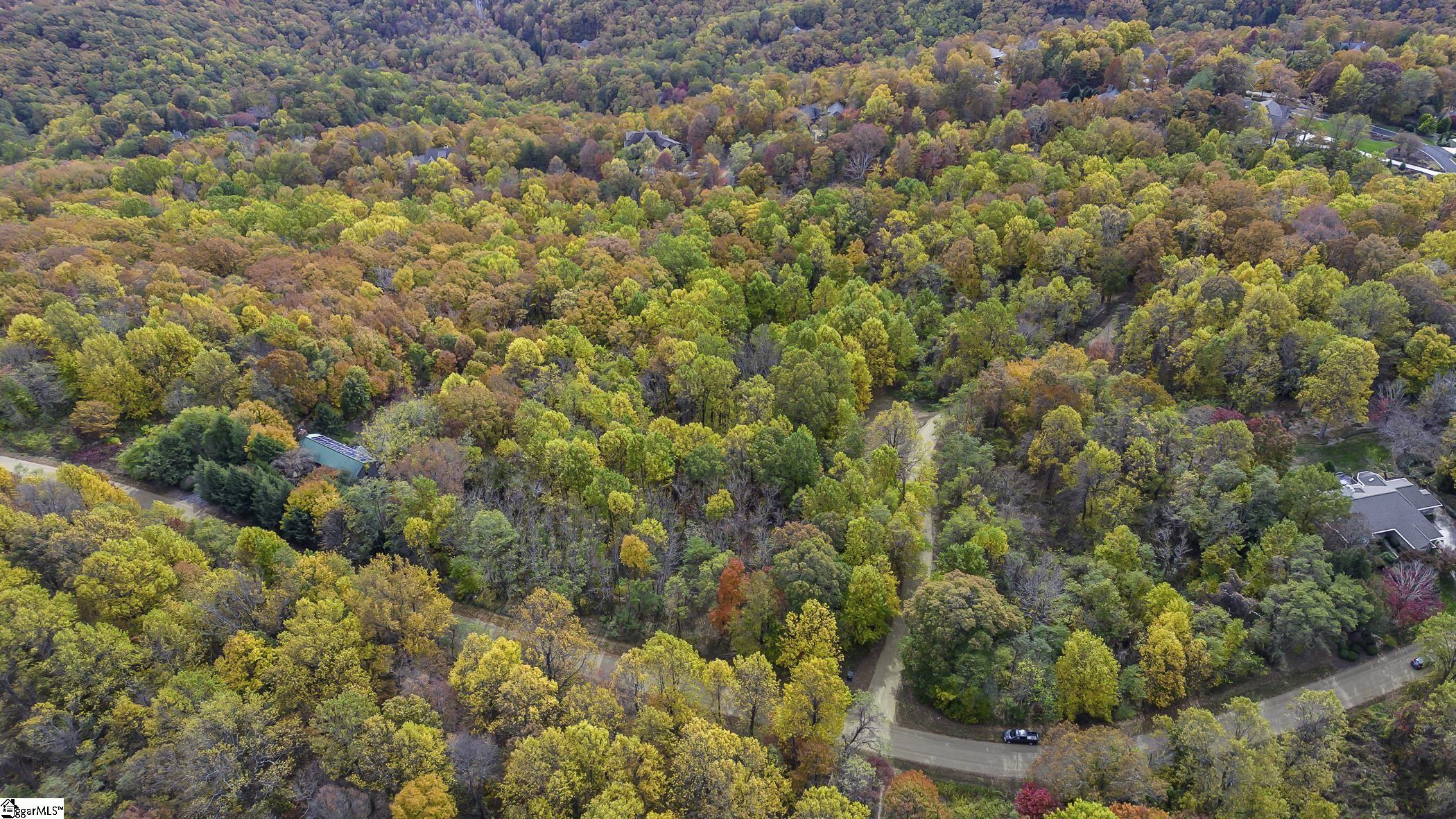 0 May Apple Way Landrum, SC 29356 - Photo 5 of 13