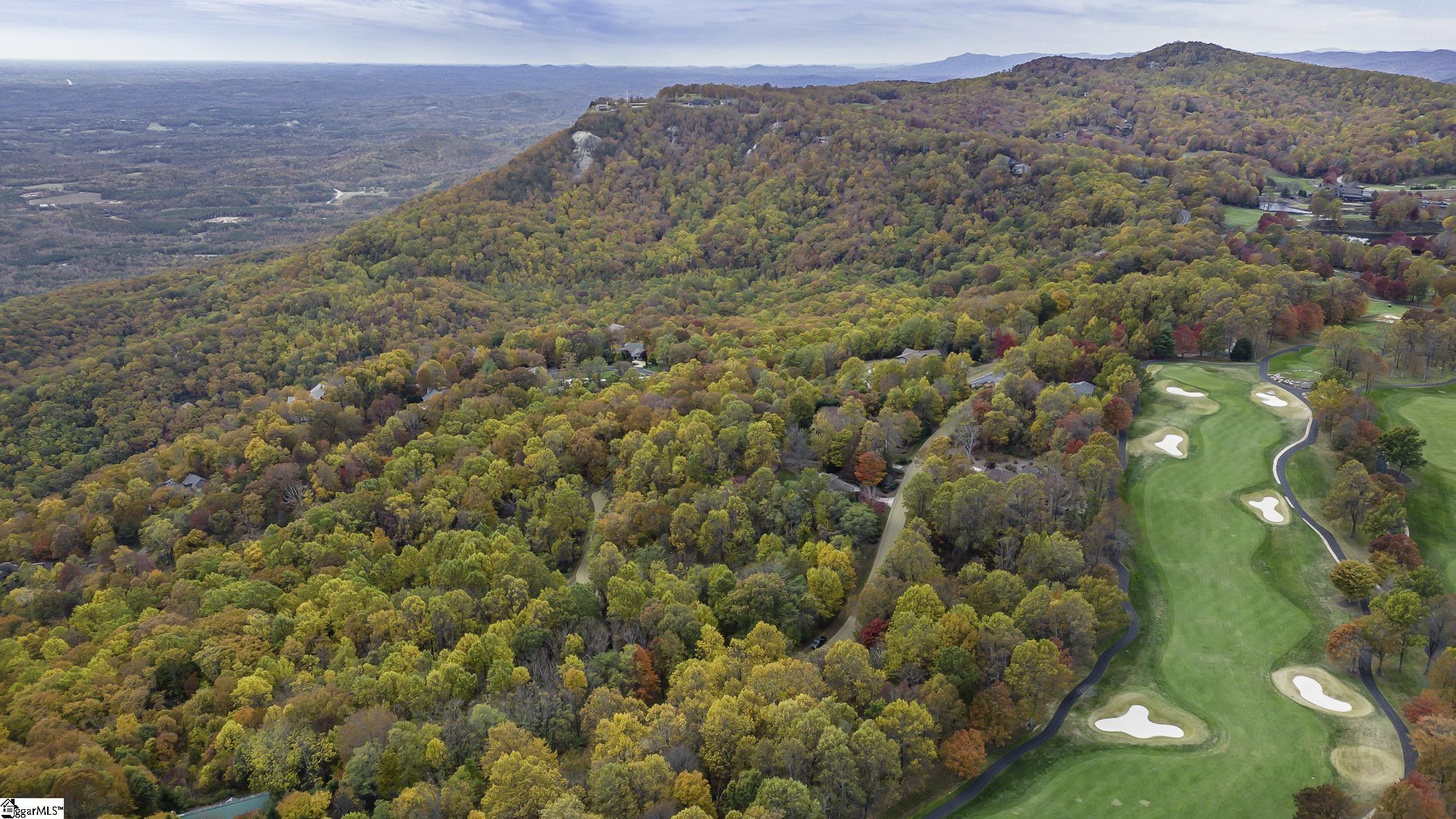 0 May Apple Way Landrum, SC 29356 - Photo 6 of 13