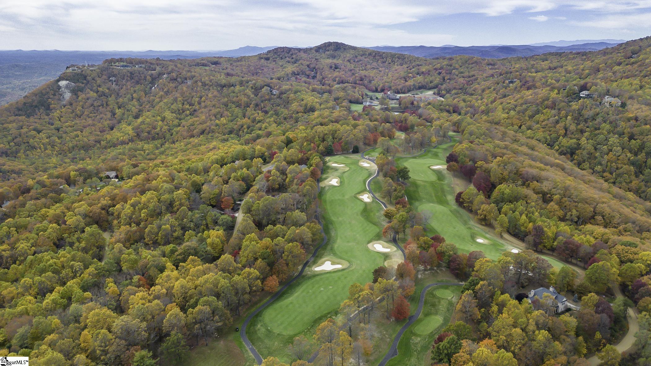 0 May Apple Way Landrum, SC 29356 - Photo 7 of 13