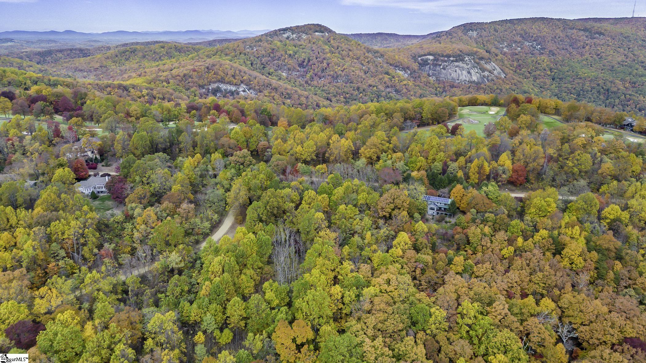 0 May Apple Way Landrum, SC 29356 - Photo 8 of 13