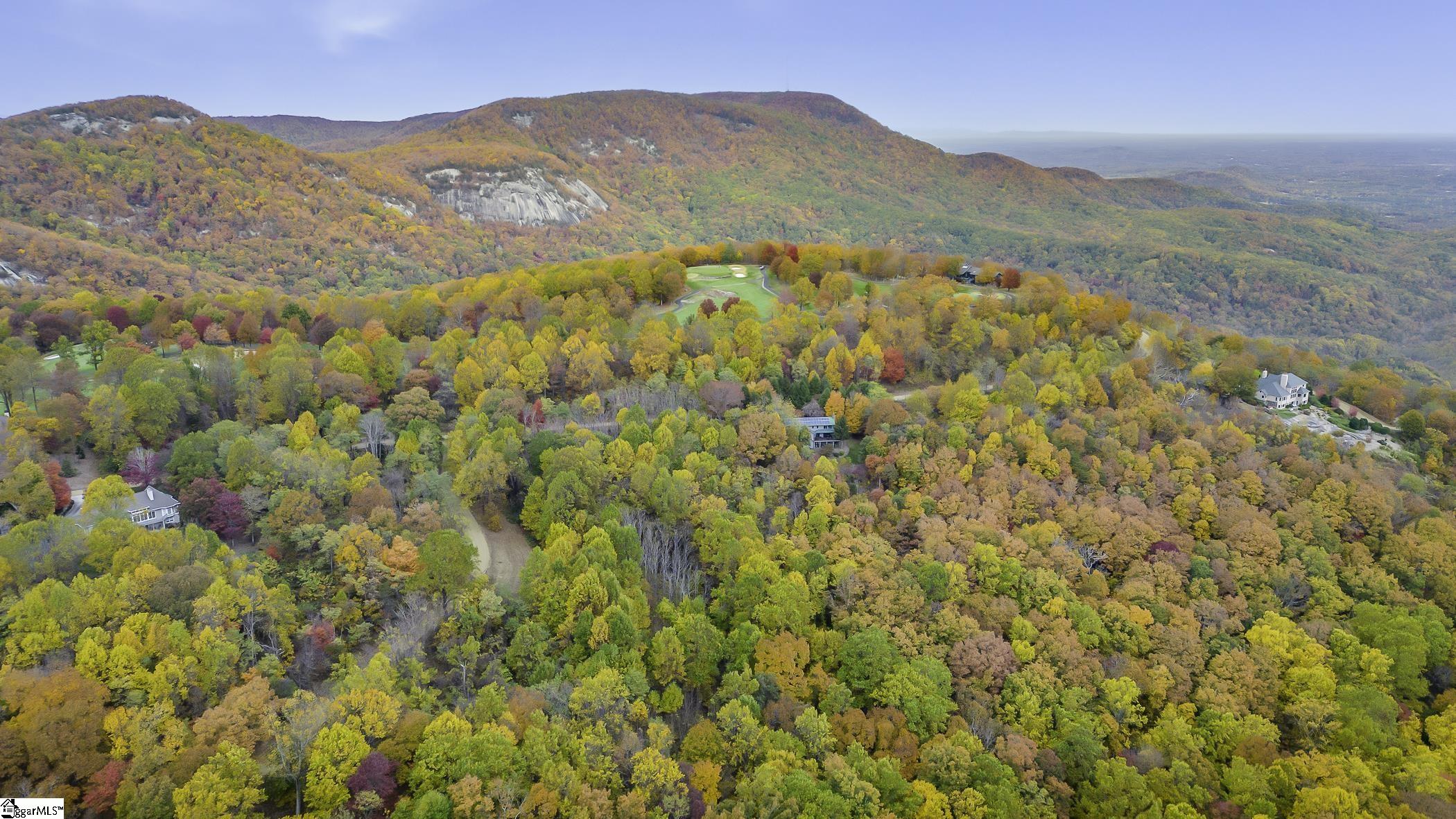 0 May Apple Way Landrum, SC 29356 - Photo 9 of 13