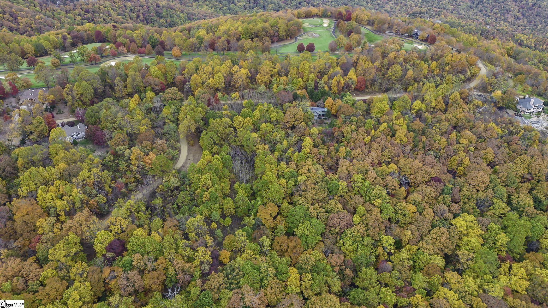 0 May Apple Way Landrum, SC 29356 - Photo 10 of 13