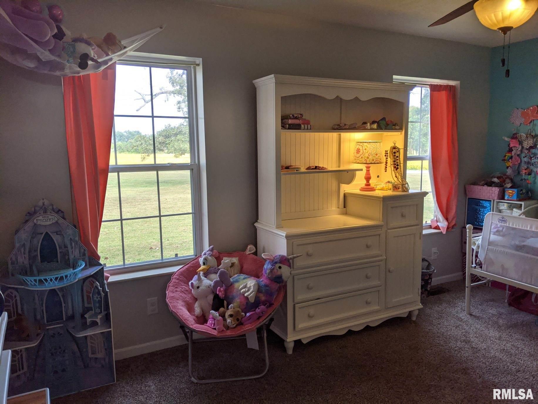 12827 Webb Hill Road Ewing, IL 62836 - Photo 11 of 29