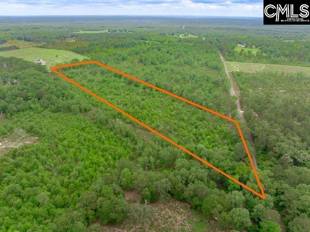 0 Seivern Road Wagener, SC 29164 - Photo 5 of 23