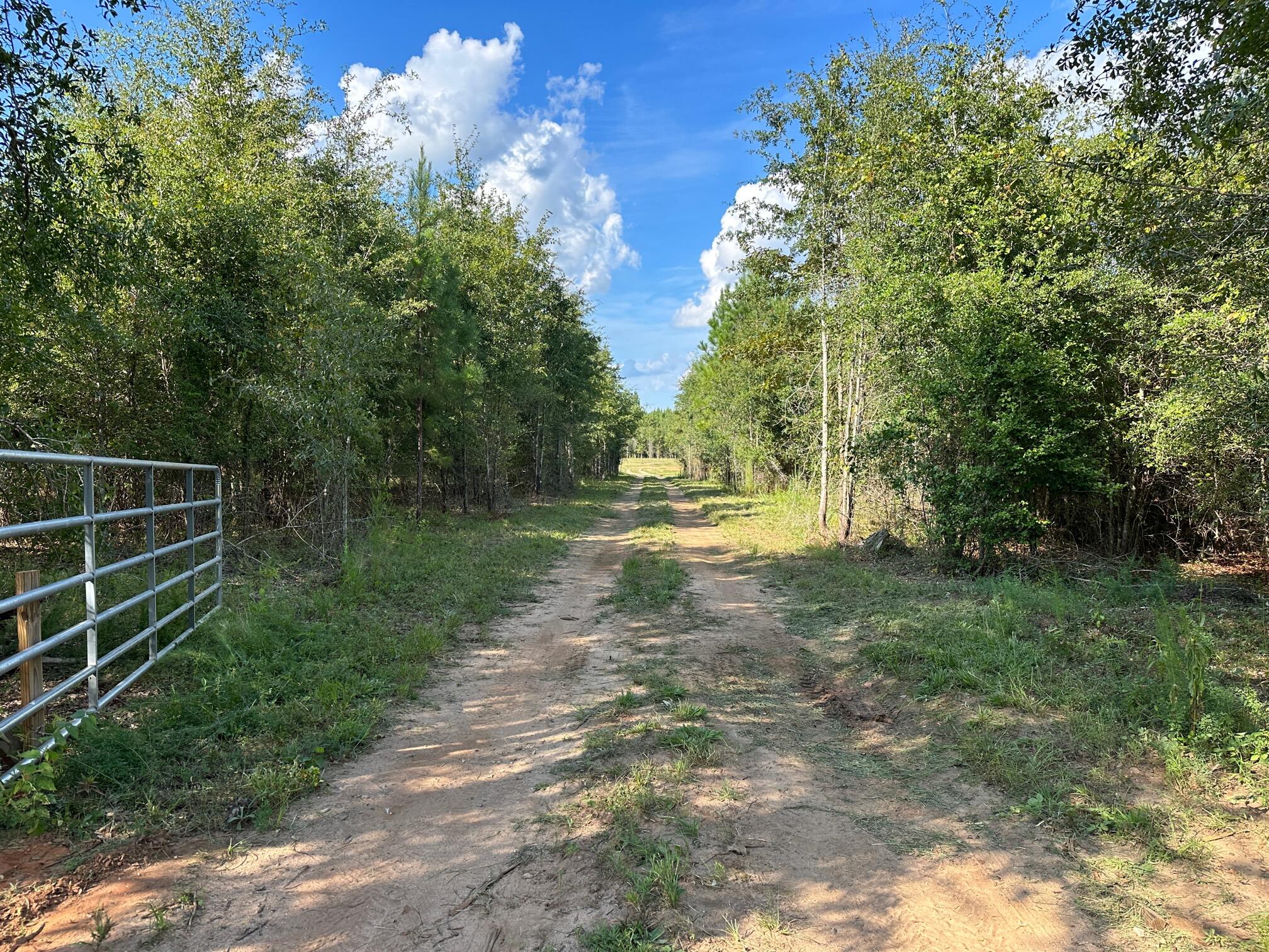 419 Gresham Road Keysville, GA 30816 - Photo 3 of 10 Main