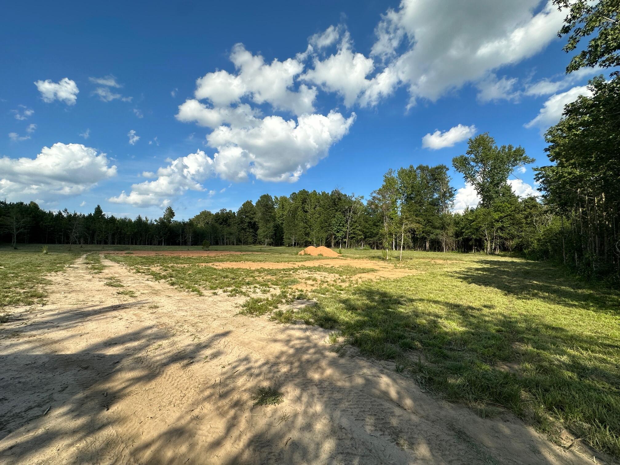 419 Gresham Road Keysville, GA 30816 - Photo 6 of 10 IMG_5774