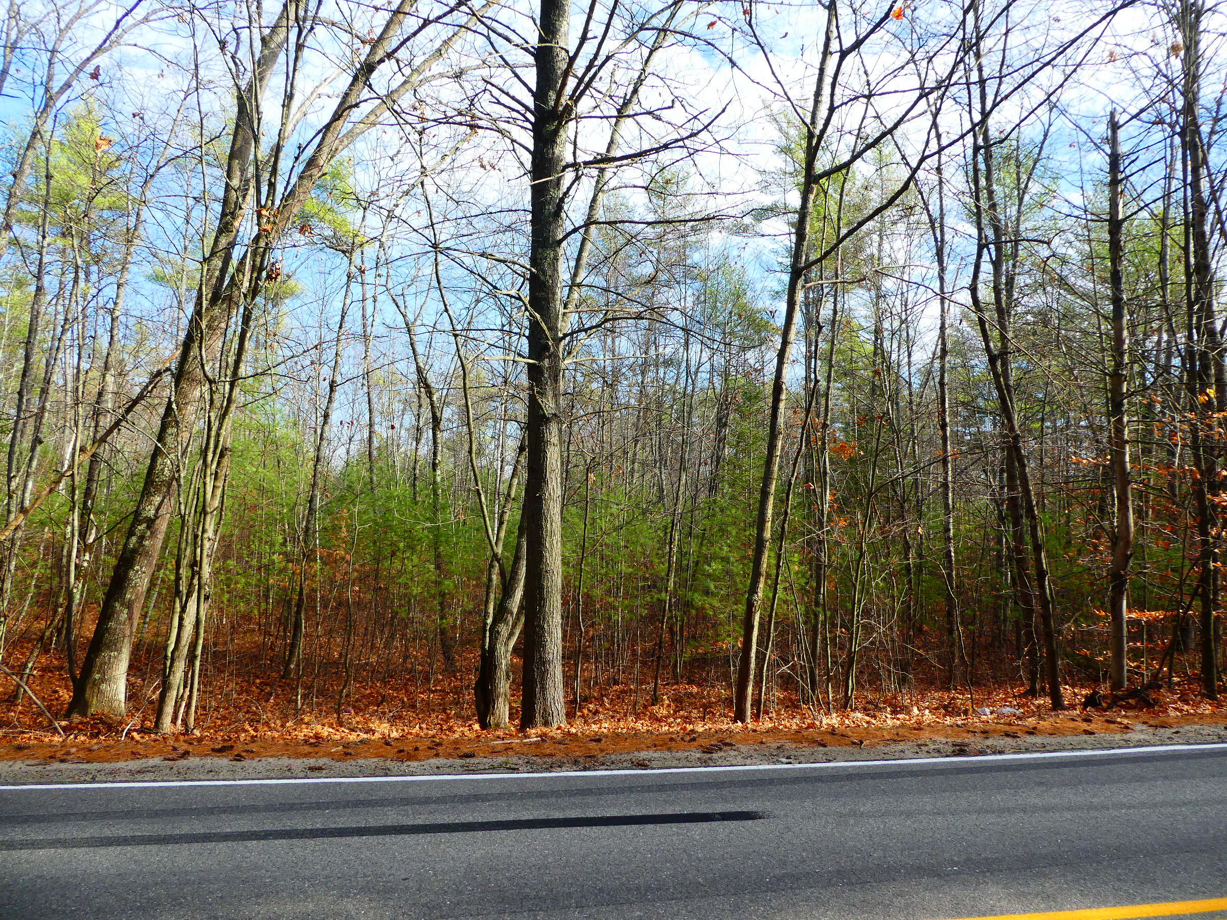 Lot 2 New Dam Road North Waterboro, ME 04061 - Photo 1 of 6 P1160321