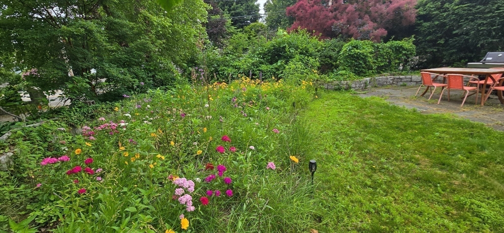 31 Elm Street, Unit 1 Newton, MA 02465 - Photo 11 of 11