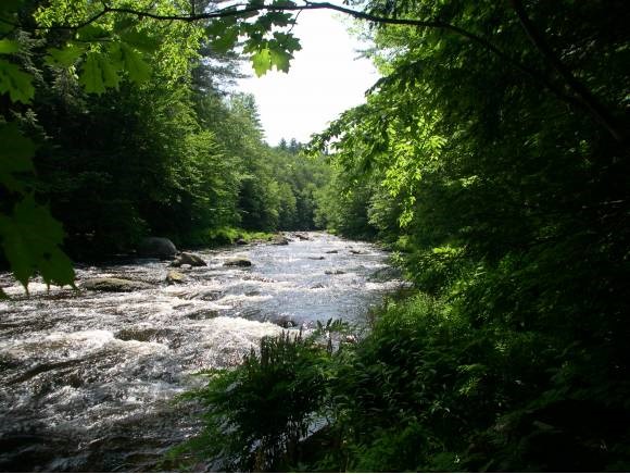 433 Smith River Road Alexandria, NH 03222 - Photo 1 of 1