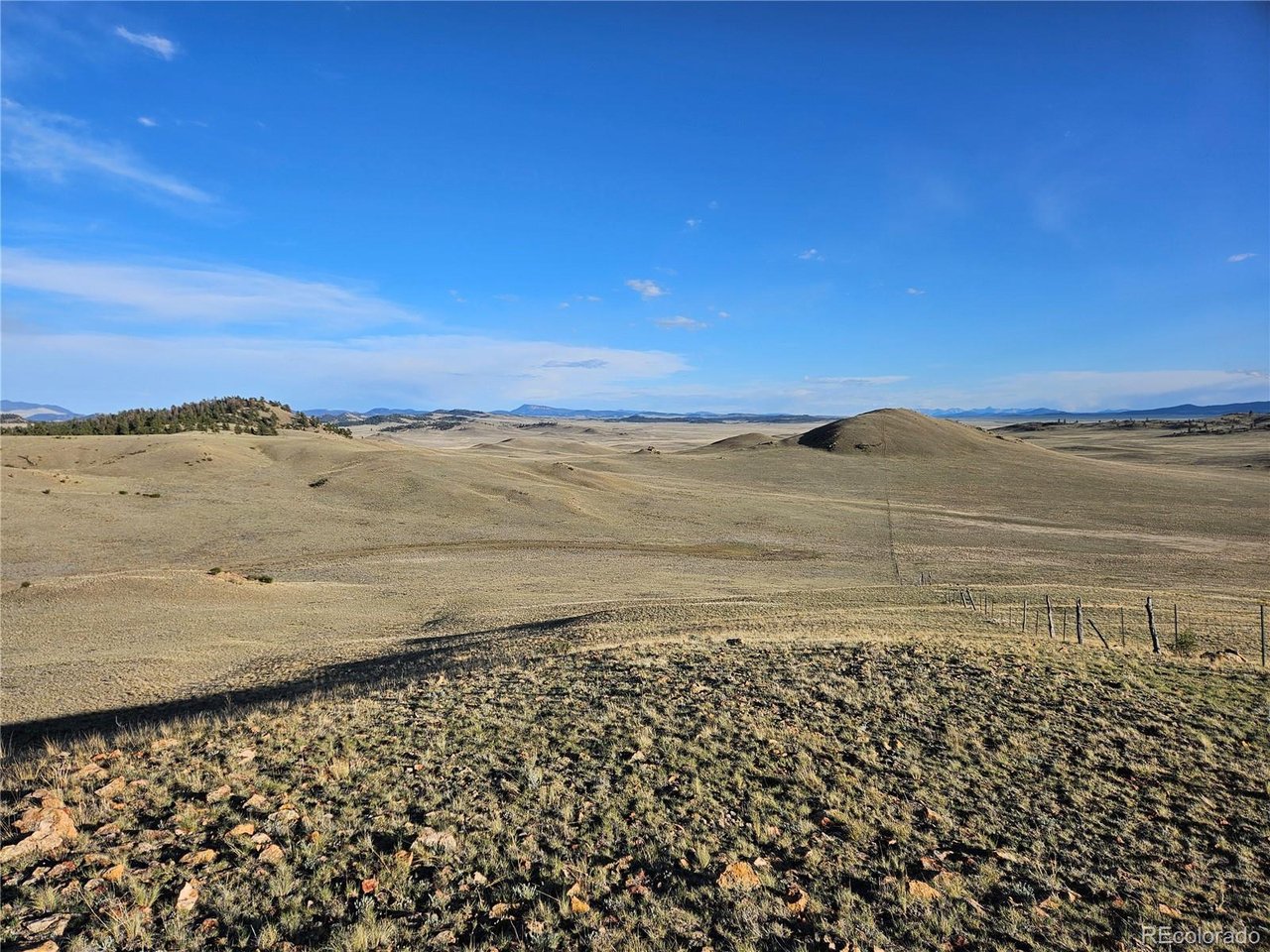 24142 Antero Road Hartsel, CO 80449 - Photo 38 of 48
