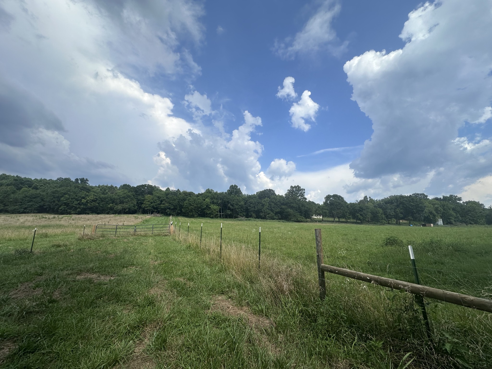 0 Lick Creek Road Dover, TN 37058 - Photo 14 of 14