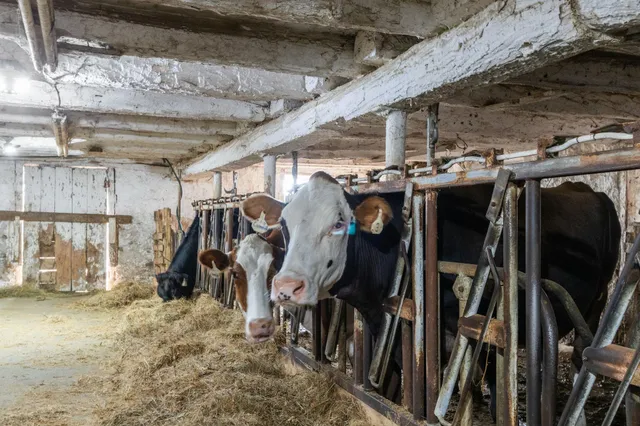 $310,000 | W4971 Drees Road, Peshtigo, WI 54157